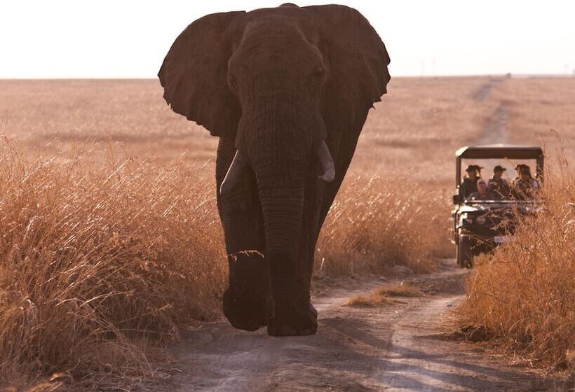 ホテル Nambiti Hills Private Game Lodge