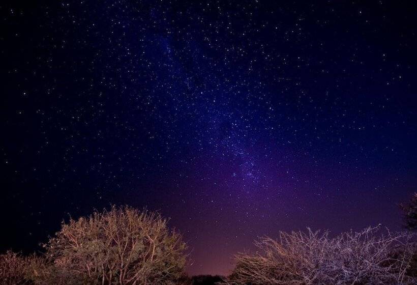 ホテル Nambiti Hills Private Game Lodge