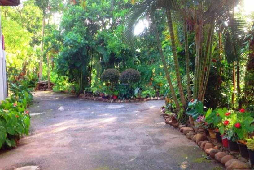 Hotel Tree Breeze Inn