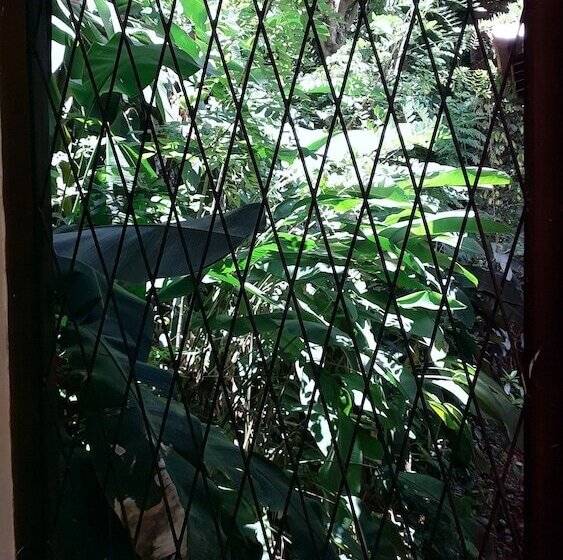 Hotel Tree Breeze Inn