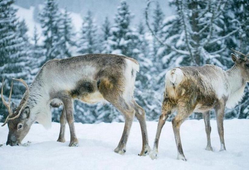 Résidence Le Relax   Megève Centre