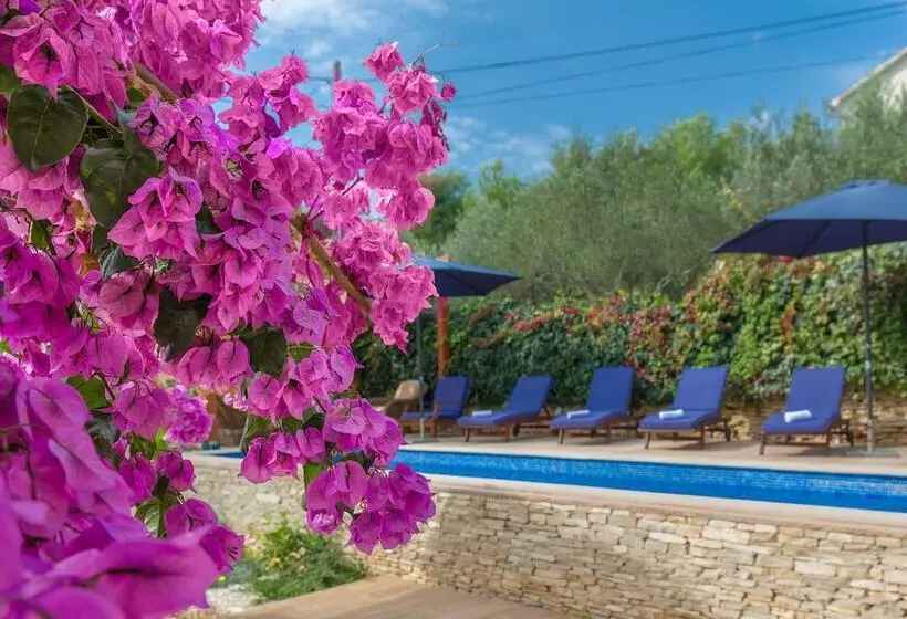 Villa Anna
