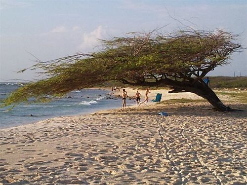 White Beach Apartments Palm Beach