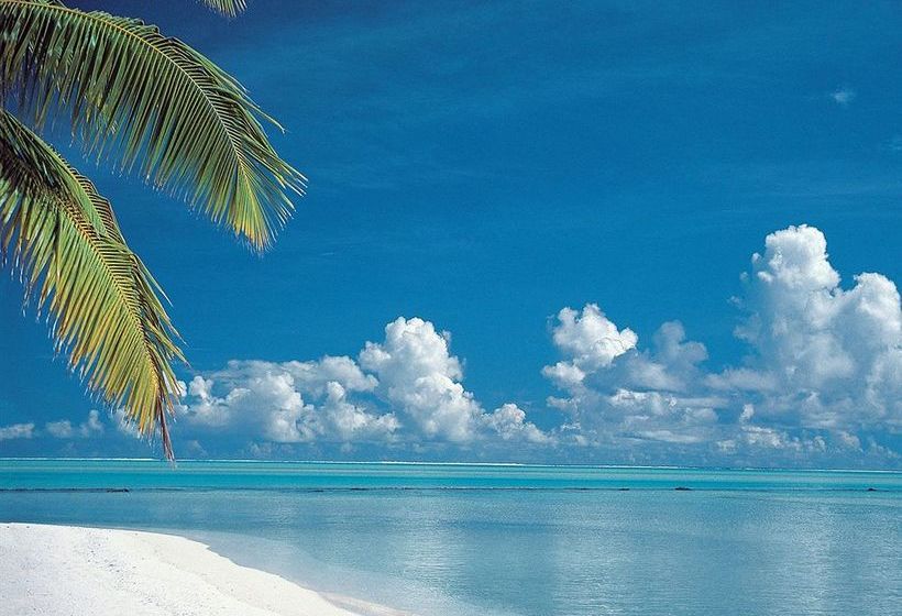 White Beach Apartments Palm Beach