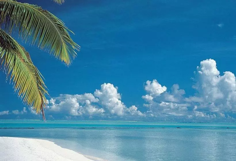 White Beach Apartments Palm Beach
