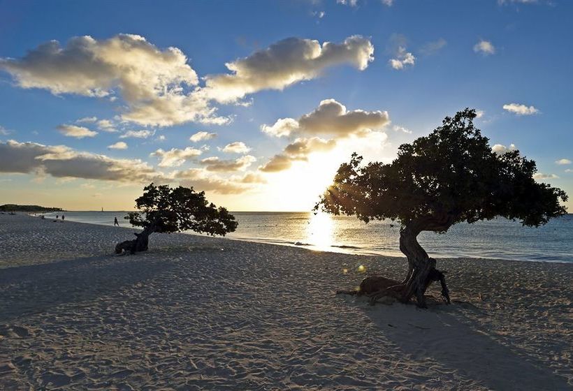 White Beach Apartments Palm Beach