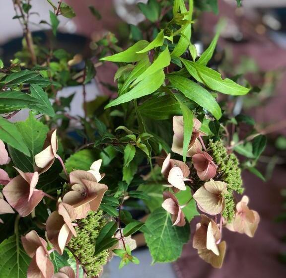 Bed and Breakfast La Villa