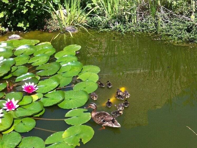 민박 Les 3 Tilleuls