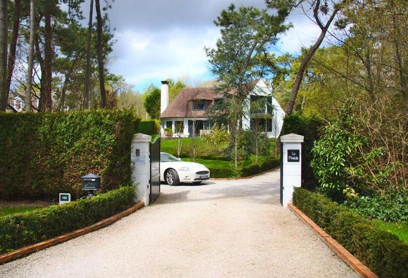 تختخواب و صبحانه So Touquet