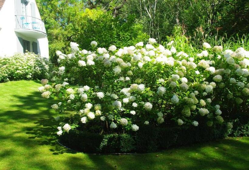 تختخواب و صبحانه So Touquet