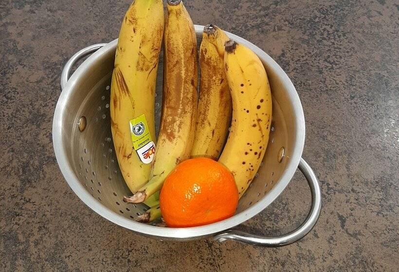 민박 A Bit Of New York In Whanganui Home Stay