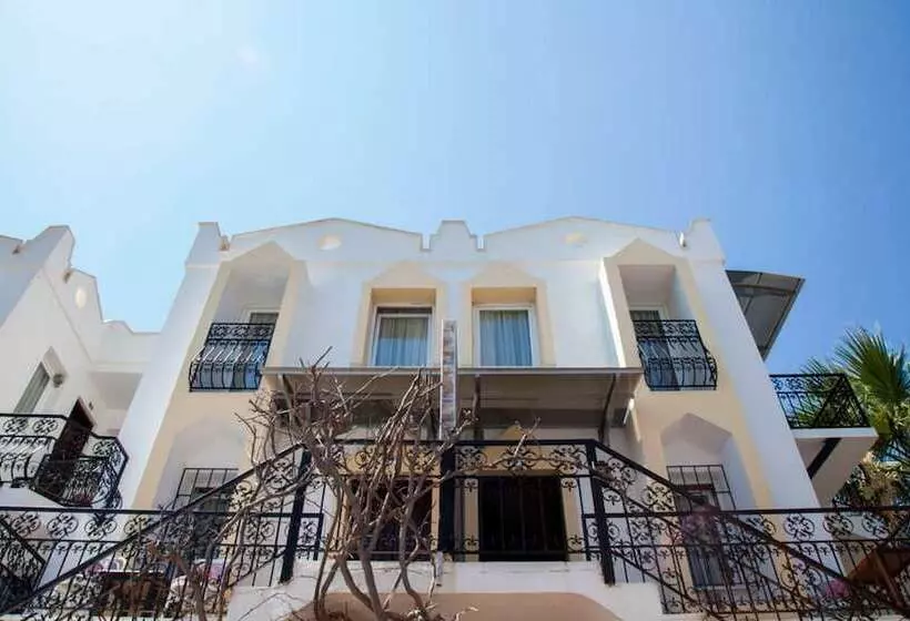 Golden Age Houses