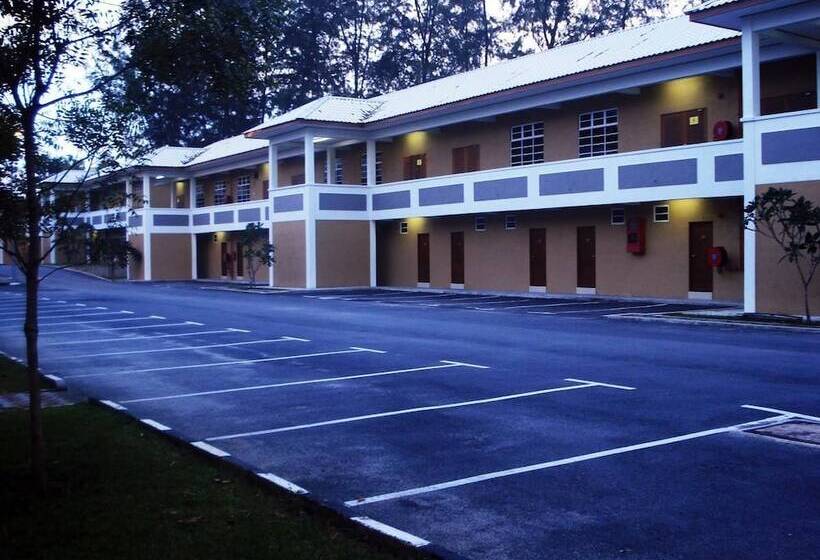 בית מלון כפרי Scout Inn