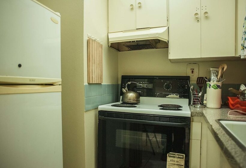 Starfish Beach Studio At Montego Bay Club Resort