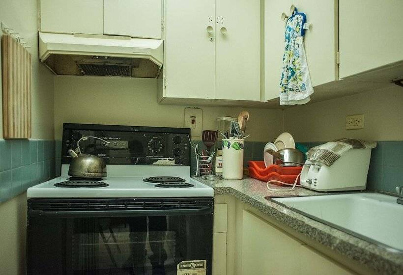 Starfish Beach Studio At Montego Bay Club Resort