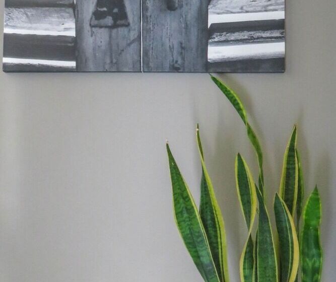 تختخواب و صبحانه Esperance 1