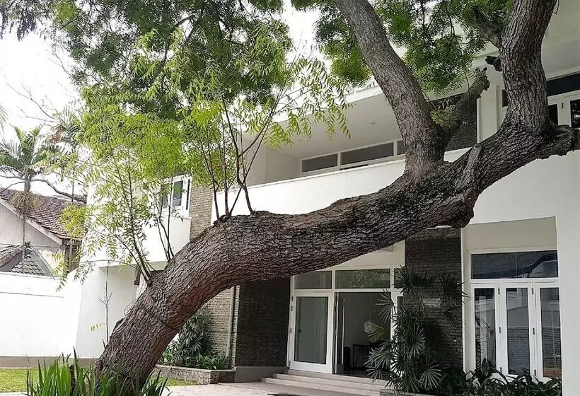 Hangover Hostels At Colombo