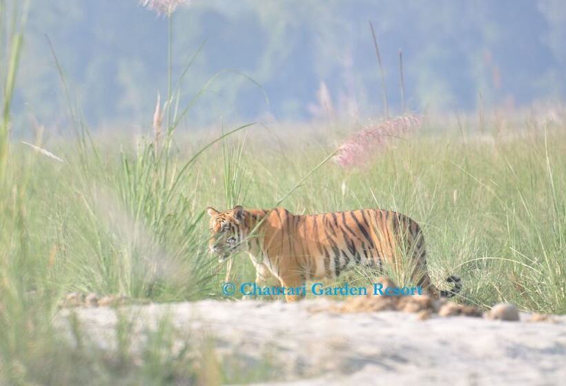 هتل Chautari Garden Resort