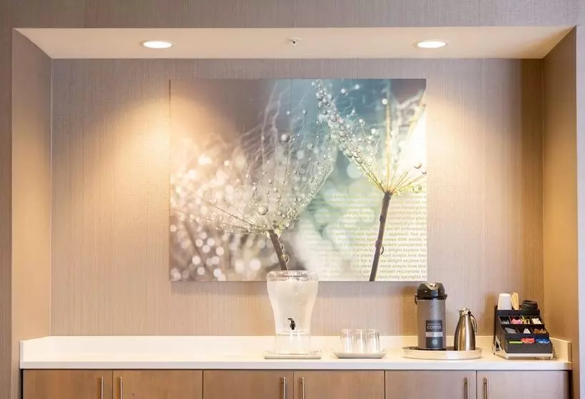 Hotelli Springhill Suites By Marriott Austin Cedar Park