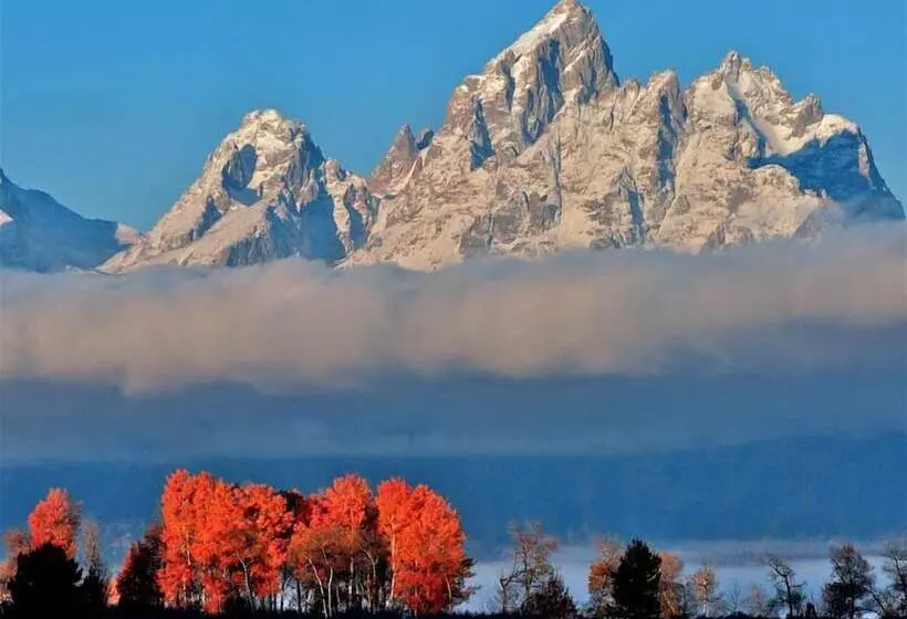 Hotelli Springhill Suites By Marriott Jackson Hole
