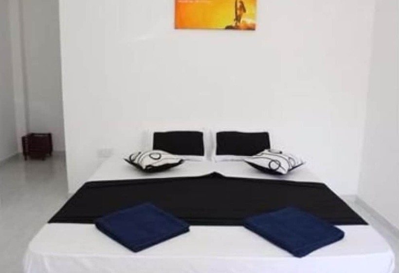 Отель The Surfer