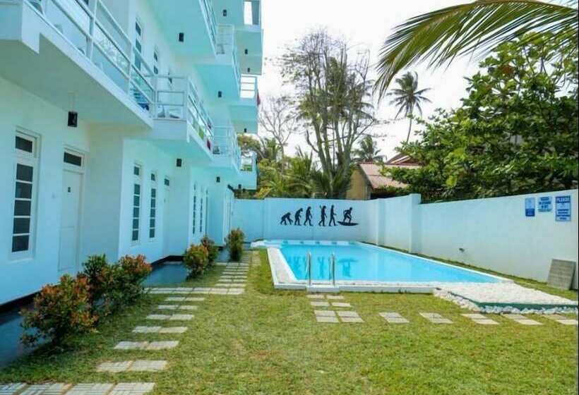 Отель The Surfer