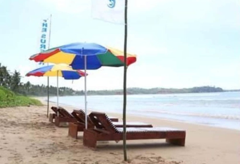 Отель The Surfer