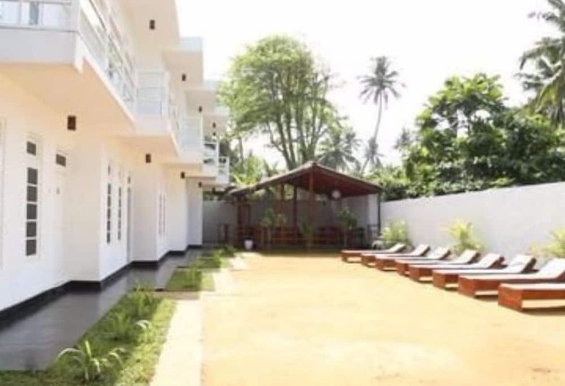 Отель The Surfer