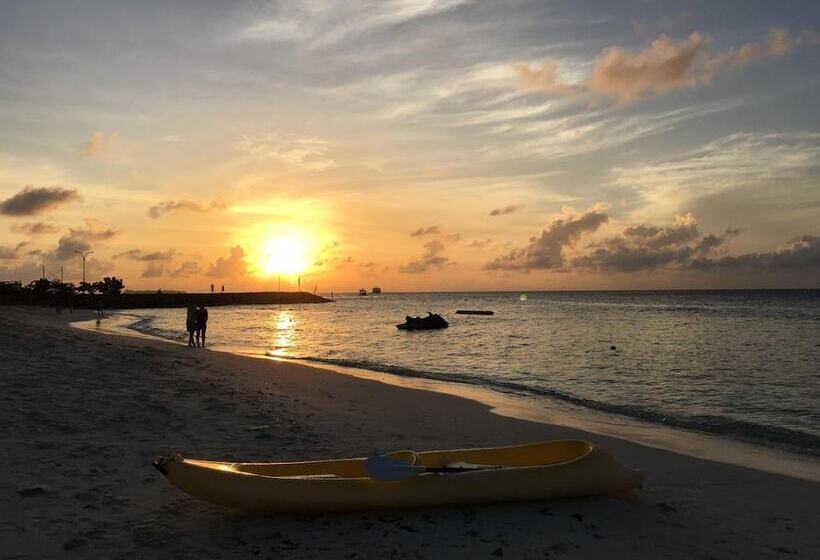 پانسیون Faza View Inn, Maafushi