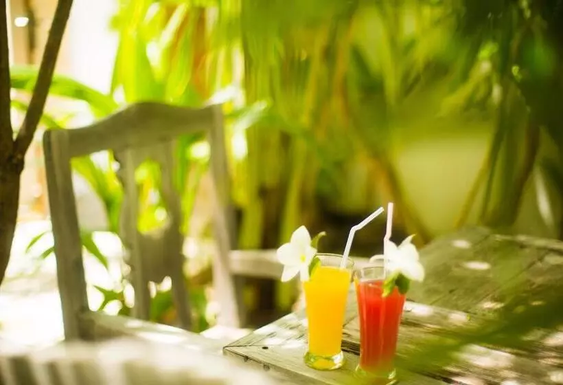 پانسیون Faza View Inn, Maafushi