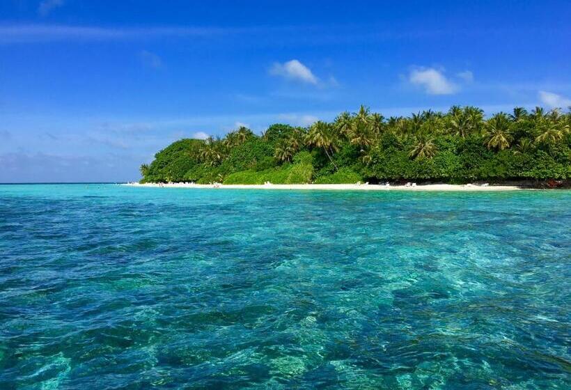 پانسیون Faza View Inn, Maafushi