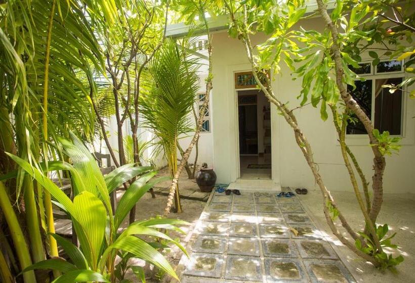 پانسیون Faza View Inn, Maafushi