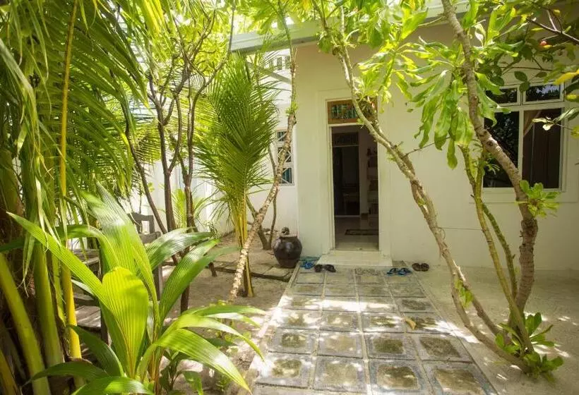 پانسیون Faza View Inn, Maafushi