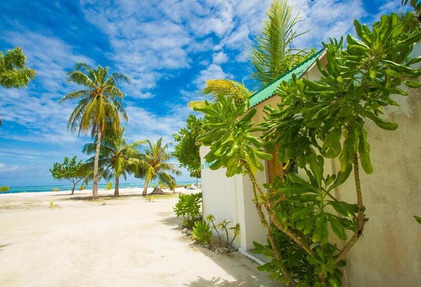 پانسیون Faza View Inn, Maafushi