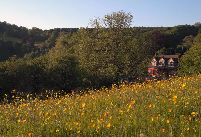 The Laurels B&b