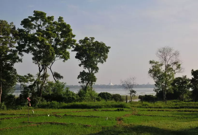 Water S Edge Anuradhapura
