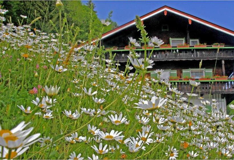 Bed and Breakfast Gästehaus Bergwald