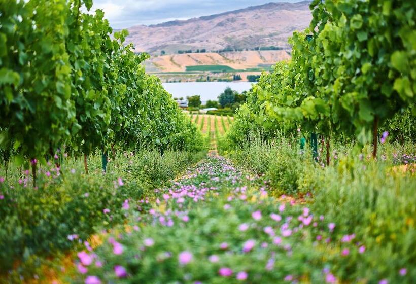 Bed and Breakfast Mt Michael Lodge