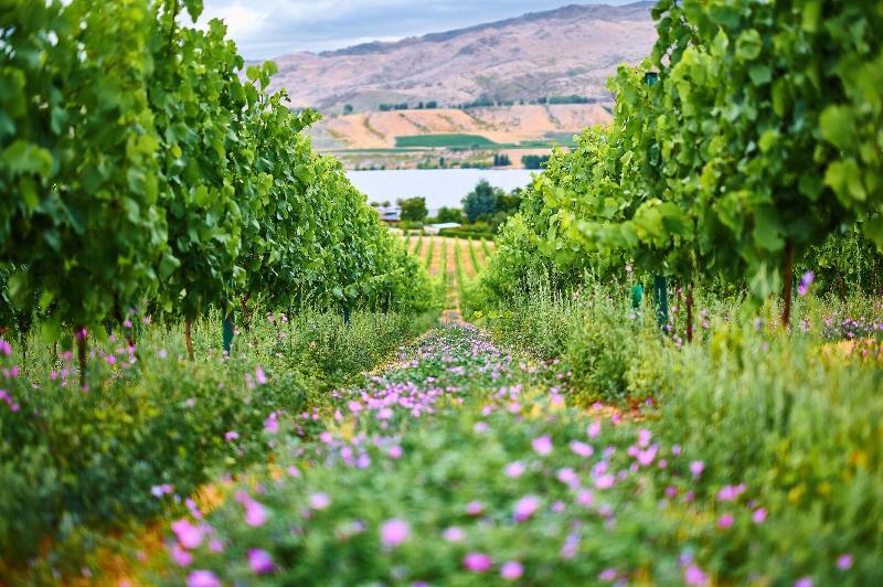 Bed and Breakfast Mt Michael Lodge