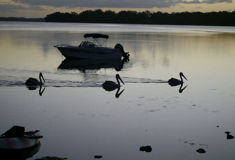 Dungowan Waterfront Apartments