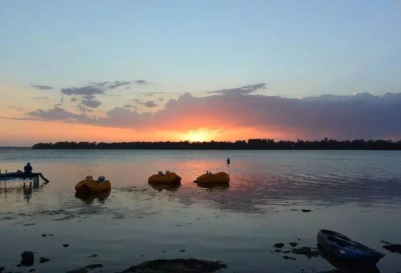 Dungowan Waterfront Apartments