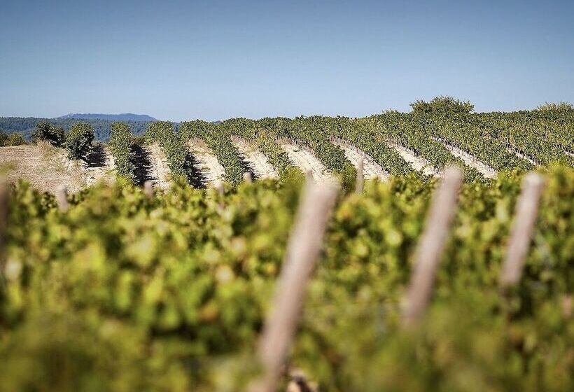 酒店 Domaine De Fontenille