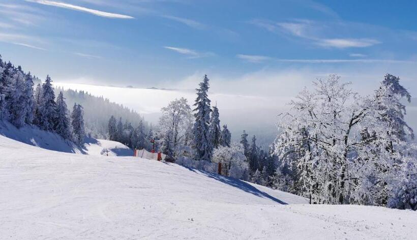 בית מלון כפרי Hôtel Au Feu De Bois Bar à Vin Le 1605