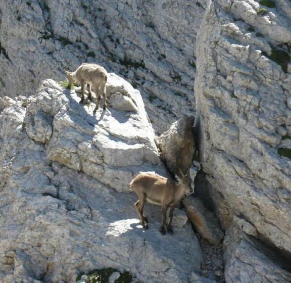 בית מלון כפרי Hôtel Au Feu De Bois Bar à Vin Le 1605