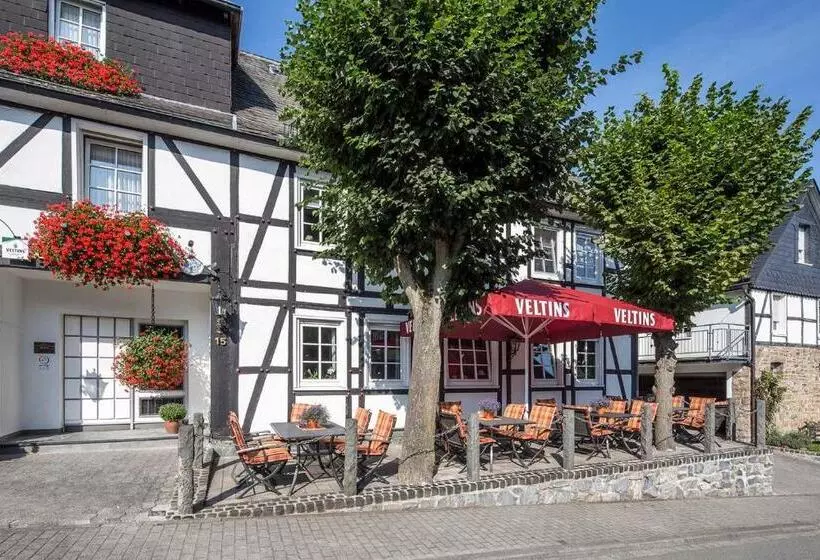 Hotelli Lindenhof