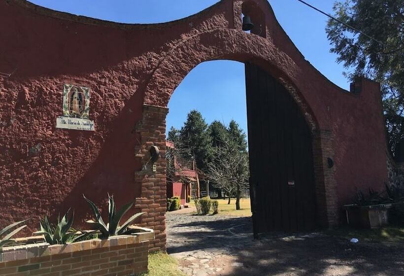 هتل روستایی Rancho Guadalupe   In Mexico City