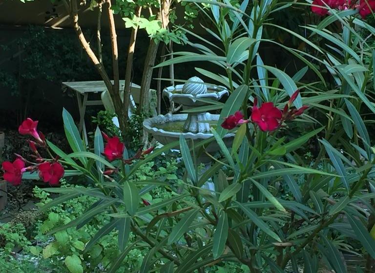 Lülleken Bed & Breakfast Gästesuite