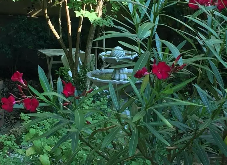 Lülleken  Bed & Breakfast  Gästesuite