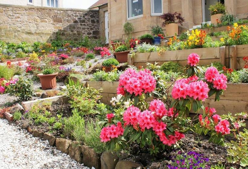 Пансион Dean Park Guest House