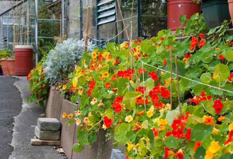 Пансион Dean Park Guest House